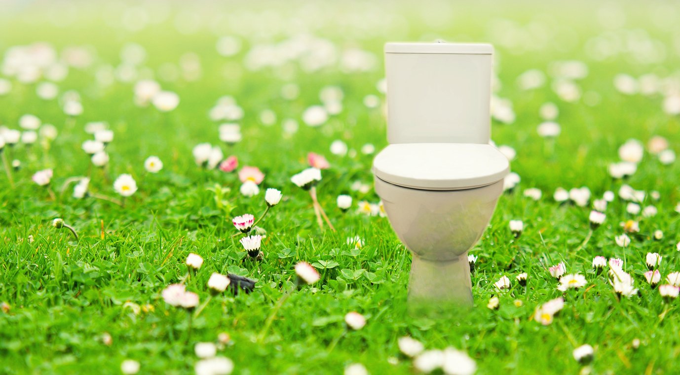 A field of wildflowers with an eco-friendly toilet on the right side of the image.